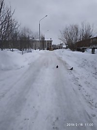 В столице Поморья продолжаются вывоз снега и уборка улиц