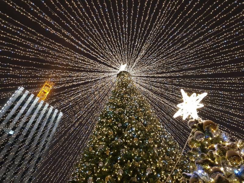 Архангельск На Новогодние Каникулы Архангельск На Новогодние Каникулы