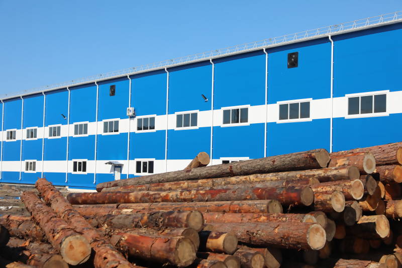 Колледж деревообработки. Маймаксанский лесопильно деревообрабатывающий техникум. ЛДК 32 завод Онега. Онега лесопильный завод. ЛДК Бирюсинск.